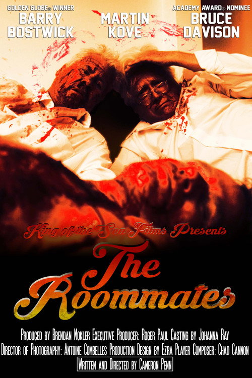 Movie poster for The Roommates
