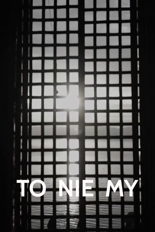 Movie poster for It's Not Us (2020)