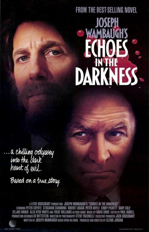 Movie poster for Echoes in the Darkness (1987)