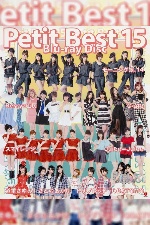 Movie poster for Petit Best 15 (2014)