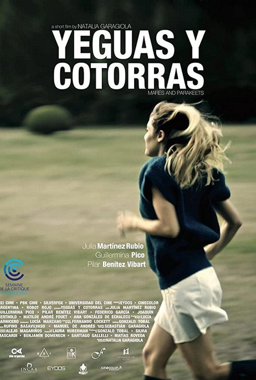 Movie poster for Yeguas y cotorras (2012)