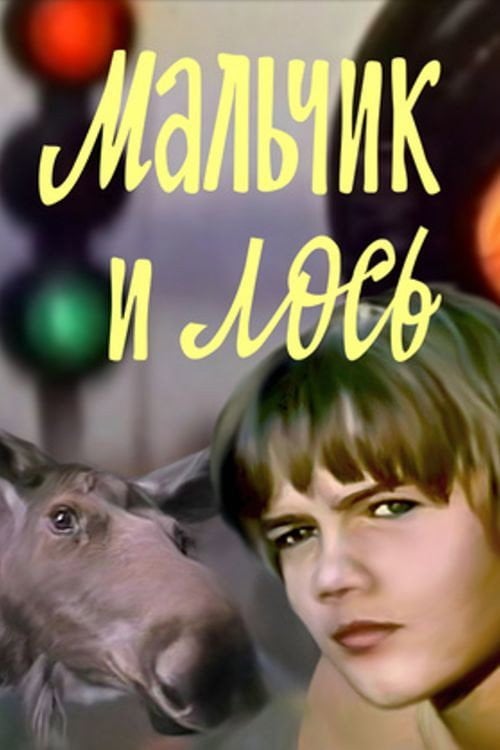 Movie poster for The Boy and the Moose (1975)