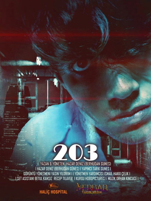 Movie poster for 203: ROOM (2017)