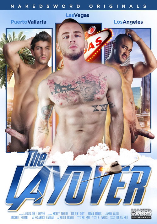 Movie poster for The Layover (2017)