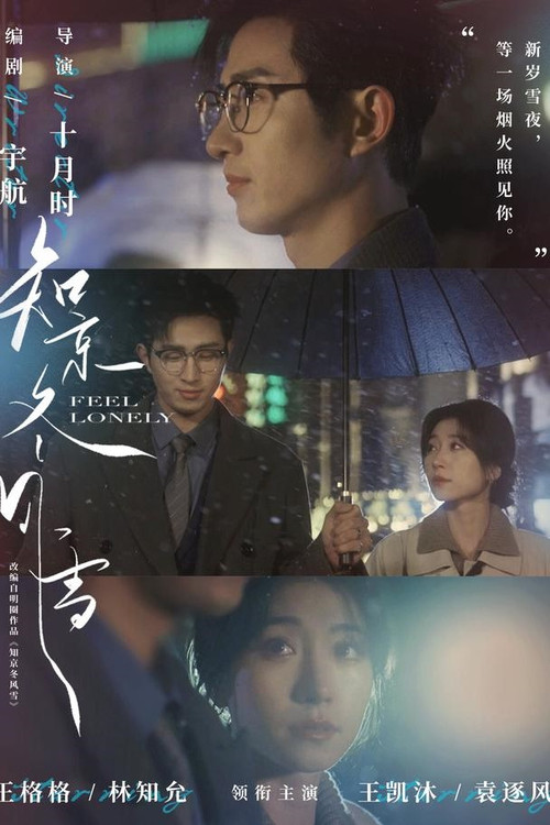 知京冬风雪 poster