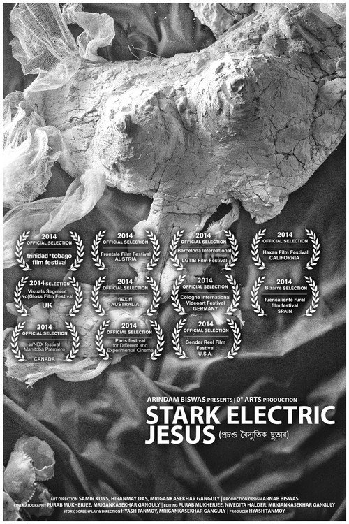 Movie poster for Stark Electric Jesus (2014)