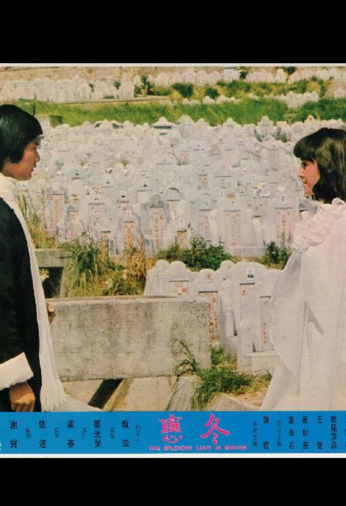 Movie poster for The Splendid Love in Winter (1974)