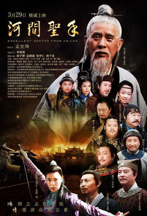 Movie poster for Excellent Doctor from Hejian (2018)