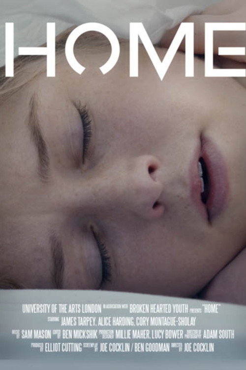 Movie poster for Home