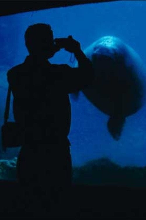 Movie poster for The Aquarium (2006)