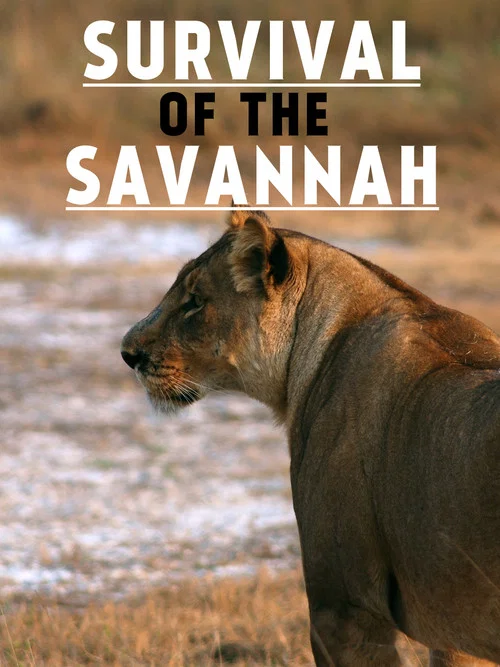 Movie poster for Survival on the Savannah (1999)