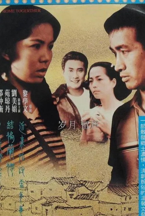 Movie poster for Home Together (1994)