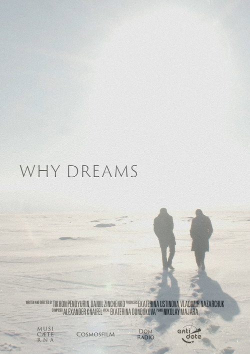 Movie poster for Why Dreams (2021)