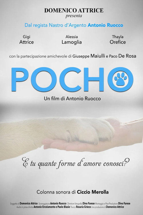 Movie poster for Pocho (2023)