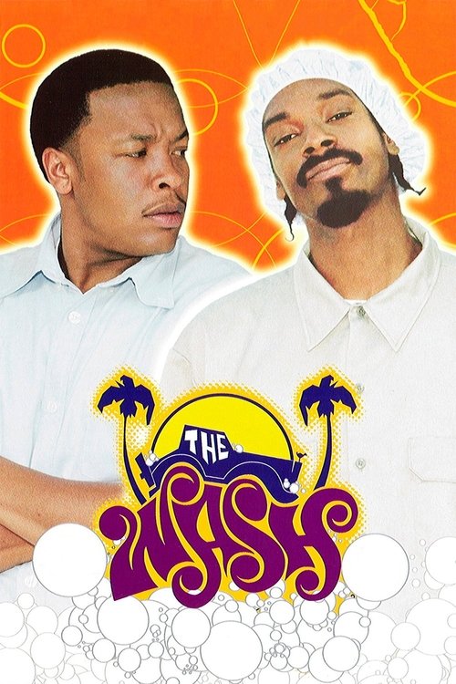 Movie poster for The Wash (2001)