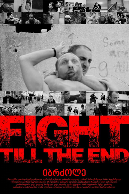 Movie poster for Fight Till The End (2013)