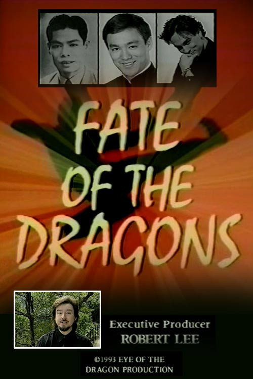Movie poster for Fate of the Dragons (1993)