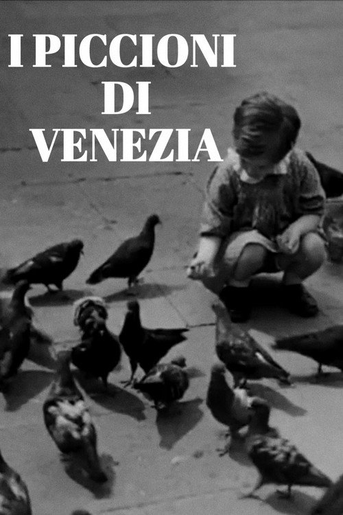 Movie poster for I piccioni di Venezia (1942)