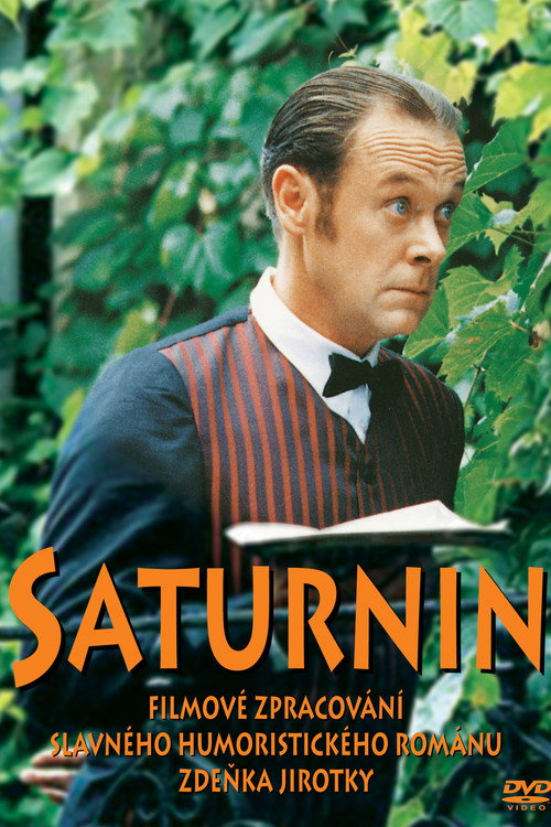 Movie poster for Saturnin (1994)