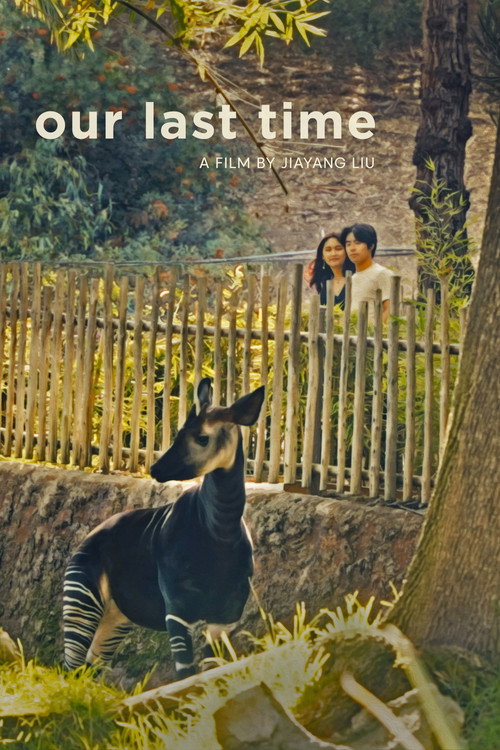 Movie poster for Our Last Time (2026)