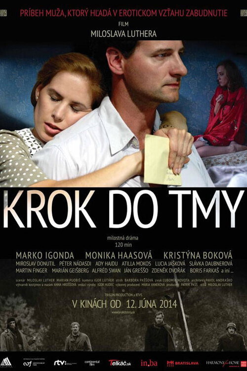 Movie poster for A Step Into the Dark (2014)