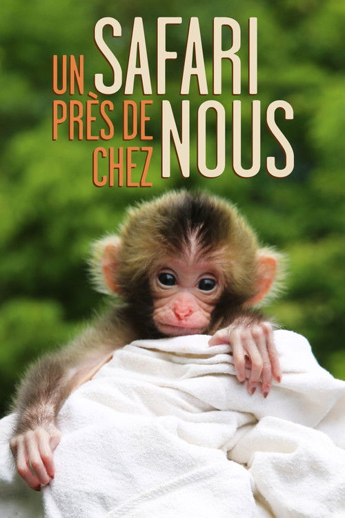 Un safari près de chez nous poster