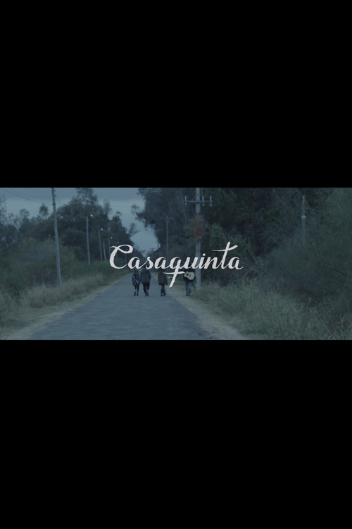 Movie poster for Casaquinta (2016)