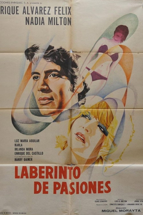 Movie poster for Labyrinth of Passion (1975)