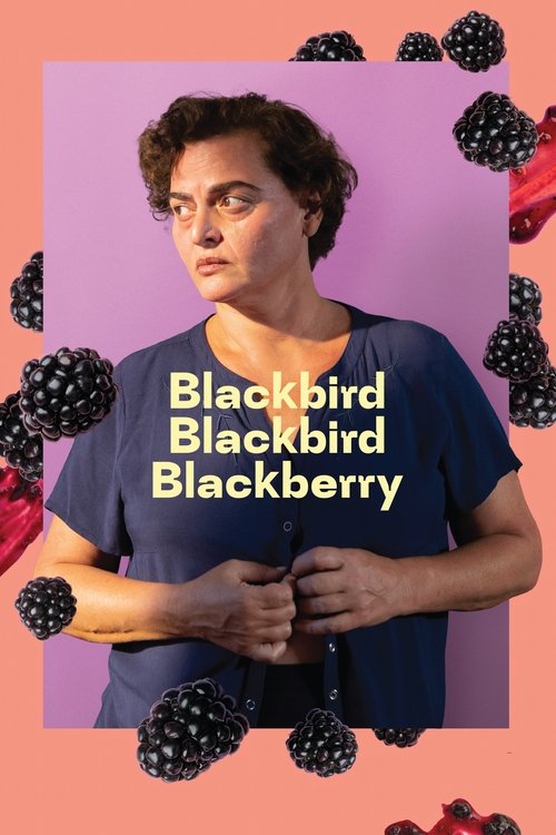 Movie poster for Blackbird Blackbird Blackberry (2023)