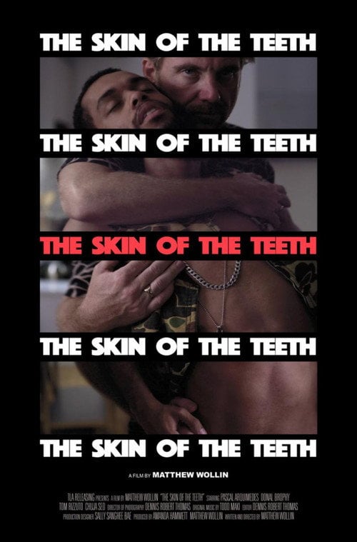 Movie poster for The Skin of the Teeth (2018)