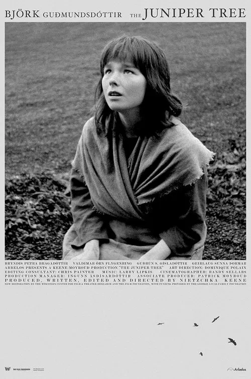 Movie poster for The Juniper Tree (1990)