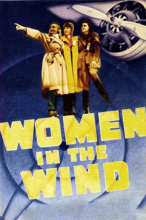 Movie poster for Women in the Wind (1939)