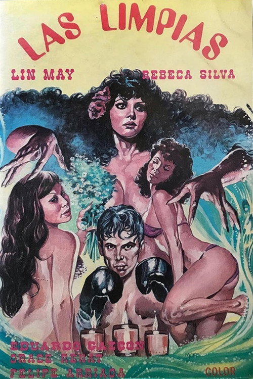 Movie poster for Las Limpias (1987)