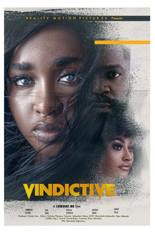 Movie poster for Vindictive (2022)