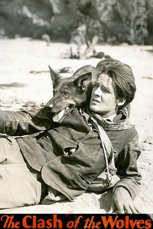 Movie poster for Clash of the Wolves (1925)