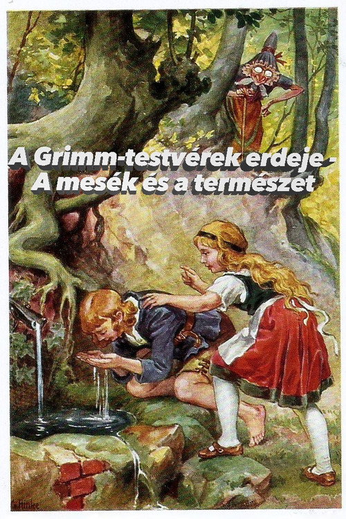 Movie poster for Im Märchenwald der Gebrüder Grimm (2021)