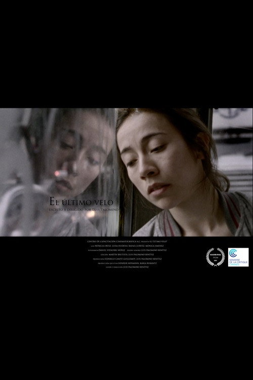 Movie poster for The Last Veil (2013)