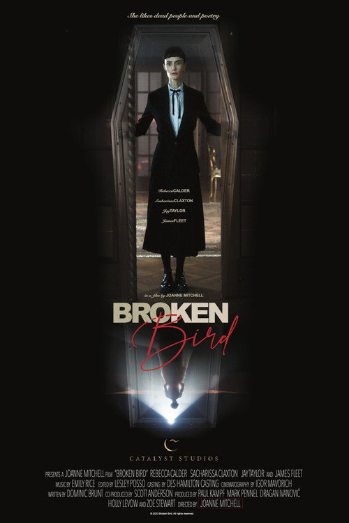 Movie poster for Broken Bird (2024)