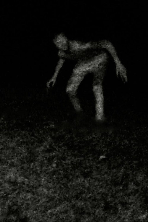 Movie poster for Stalking (2023)