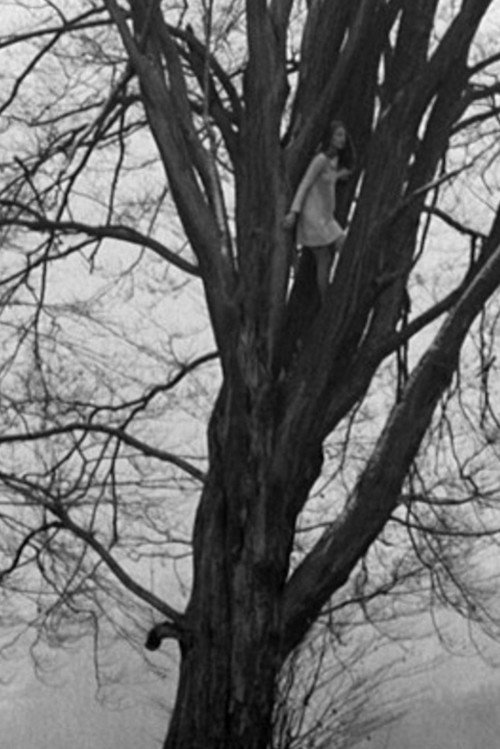 Movie poster for Foundling-Bird (1968)