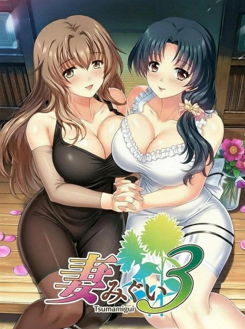 Series poster for 妻みぐい3 (2003)