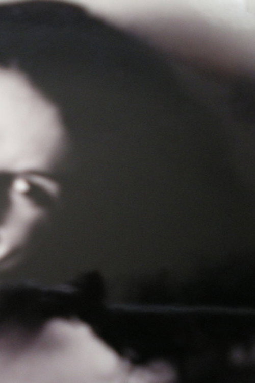 Movie poster for Ynomitset YM (2006)