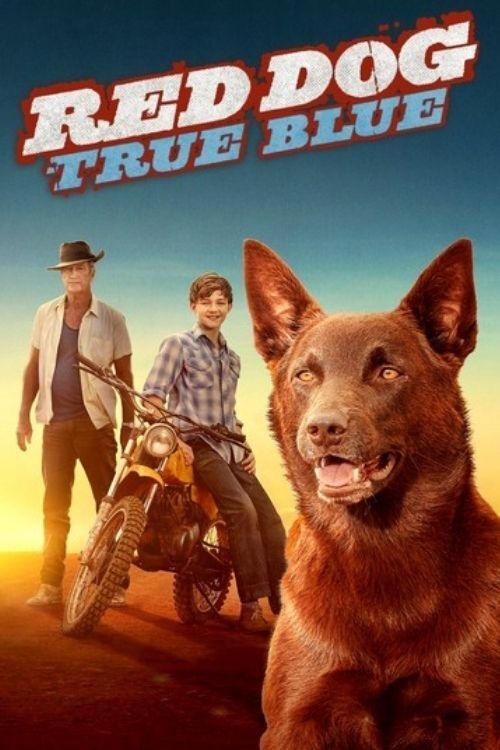 Movie poster for Red Dog: True Blue (2016)