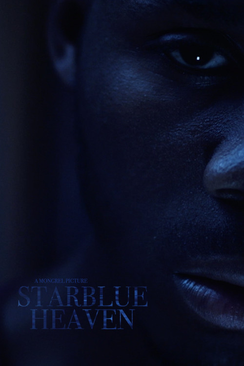 Movie poster for Starblue Heaven