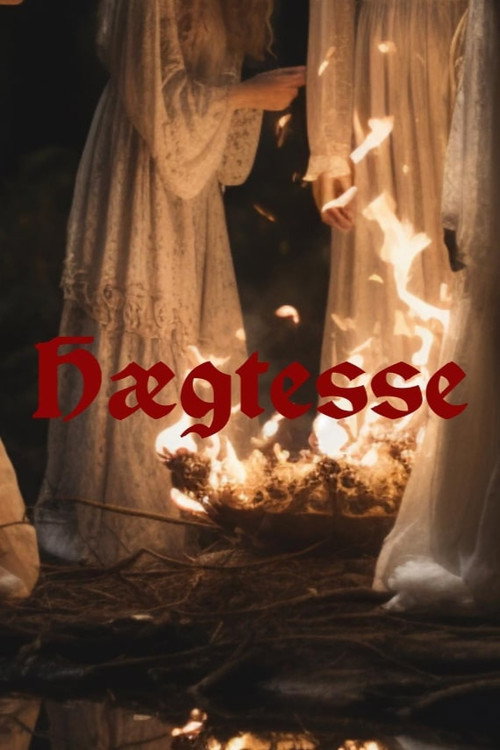 Movie poster for hægtesse (2025)