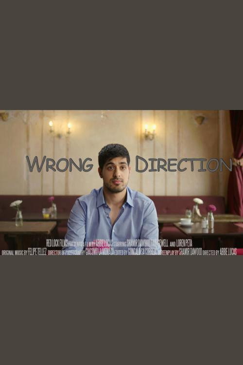Movie poster for Wrong Direction (2017)