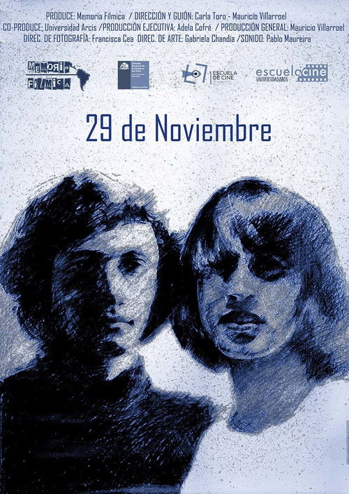 Movie poster for November 29th (2018)