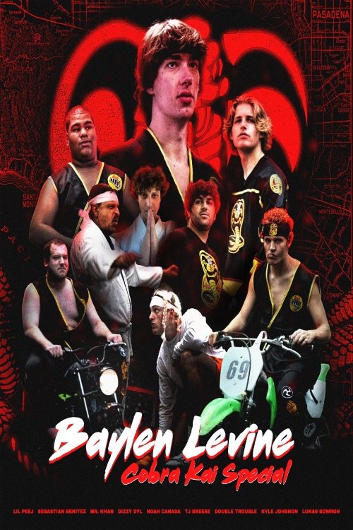 Movie poster for The Cobra Kai Movie (2024)