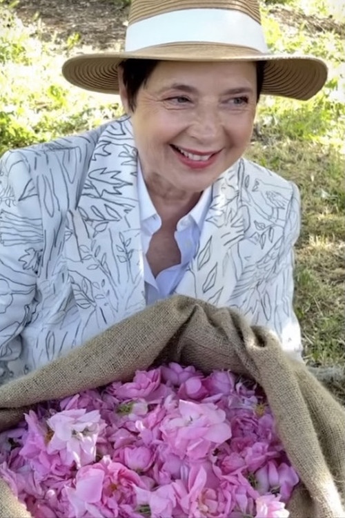 Movie poster for A Season with Isabella Rossellini (2023)