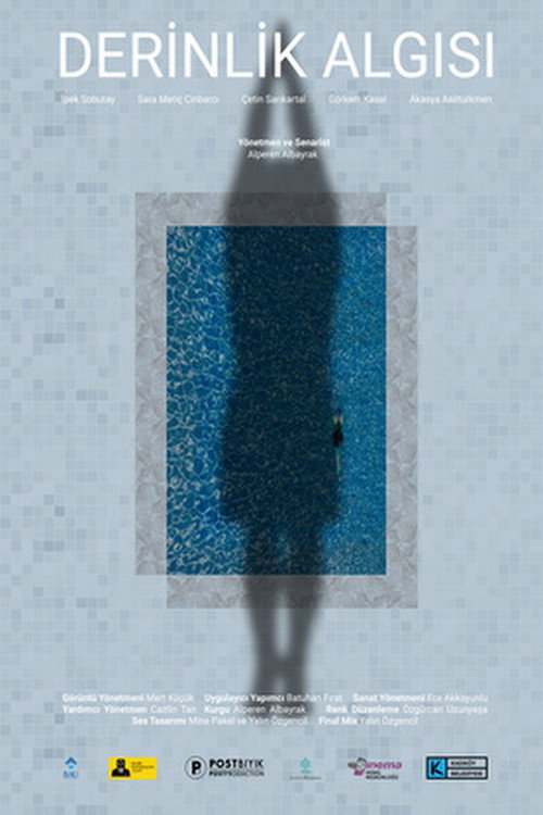 Movie poster for Perception of Depth (2020)
